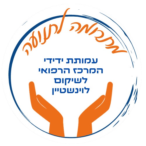 ידידי בית לוינשטיין